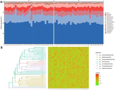 Seminal plasma microbiomes, sperm parameters, and cryopreservation in a healthy fertile population